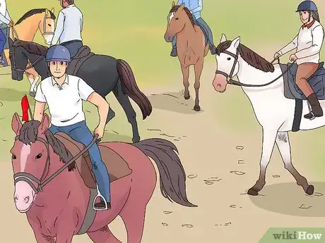 Image titled "Play" with Your Horse_Pony Step 9